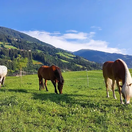 In Zillertal Near Slopes, Cleaning Included Prázdninový dům